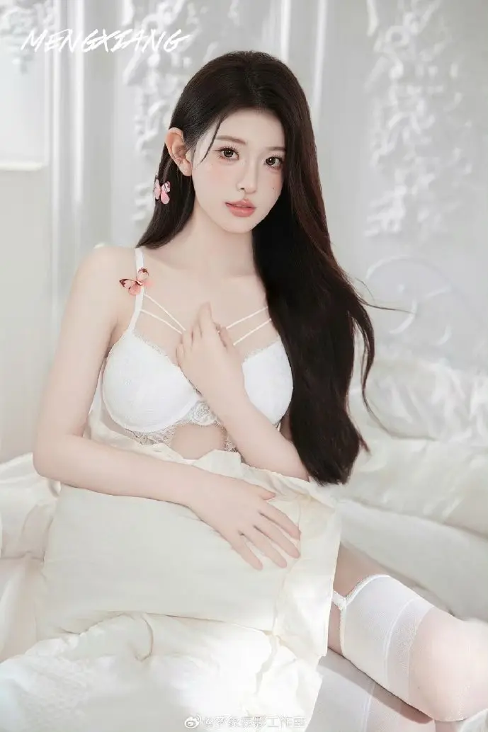 软件修复场景示意图